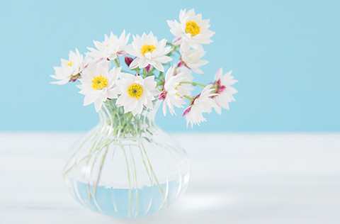 ADHD(注意欠陥多動性障害)とは