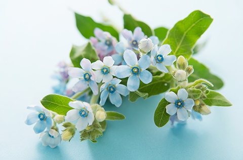 社交不安障害とは