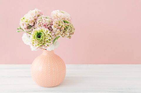 双極性障害(躁うつ病)とは